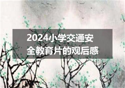 2024小学交通安全教育片的观后感