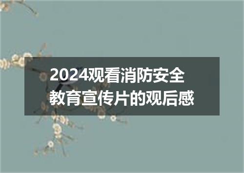 2024观看消防安全教育宣传片的观后感