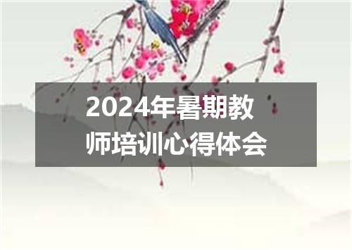 2024年暑期教师培训心得体会
