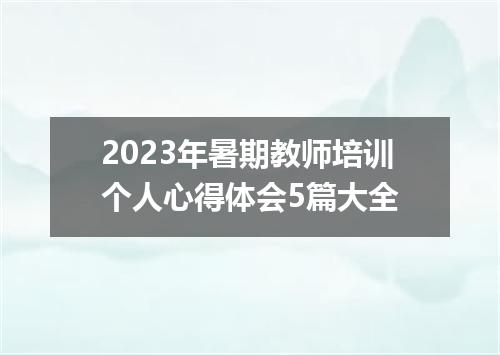 2023年暑期教师培训个人心得体会5篇大全