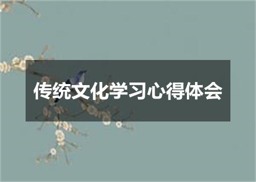 传统文化学习心得体会