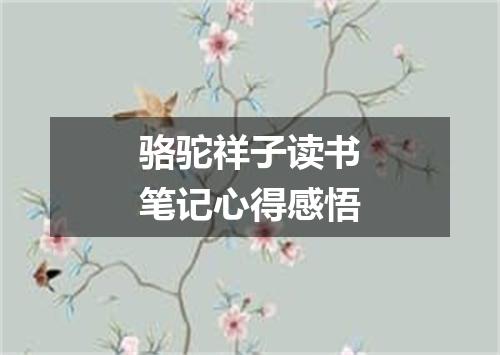骆驼祥子读书笔记心得感悟