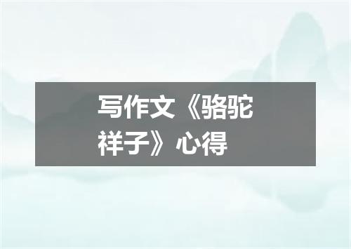 写作文《骆驼祥子》心得