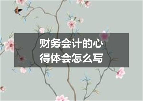 财务会计的心得体会怎么写