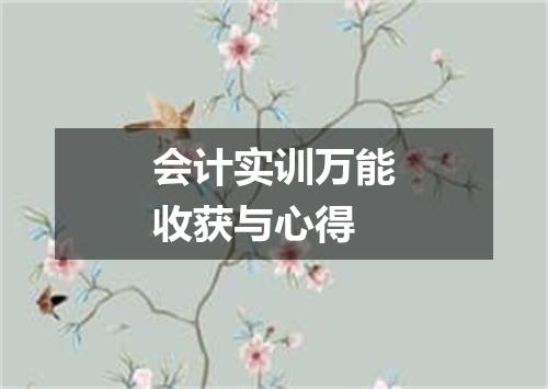 会计实训万能收获与心得
