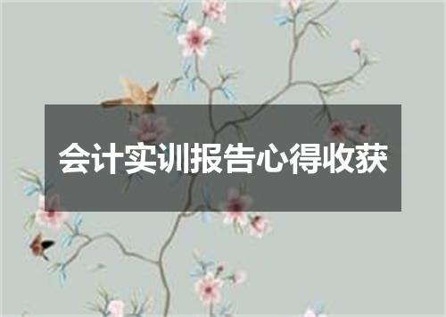 会计实训报告心得收获