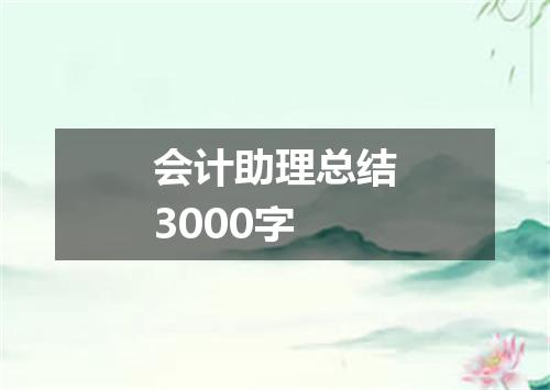会计助理总结3000字