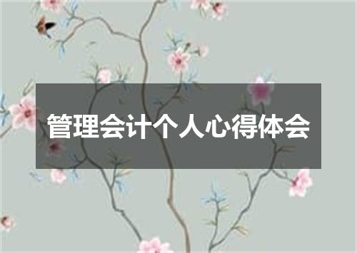 管理会计个人心得体会