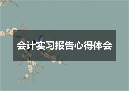 会计实习报告心得体会