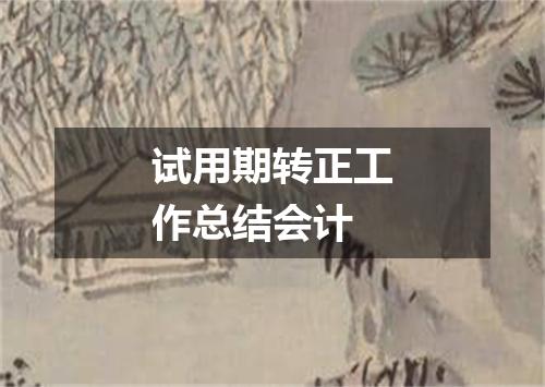 试用期转正工作总结会计