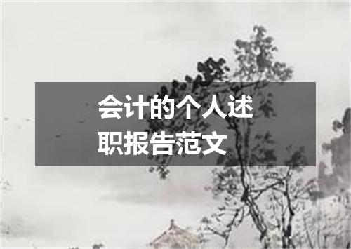 会计的个人述职报告范文