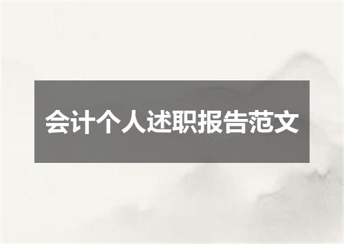 会计个人述职报告范文