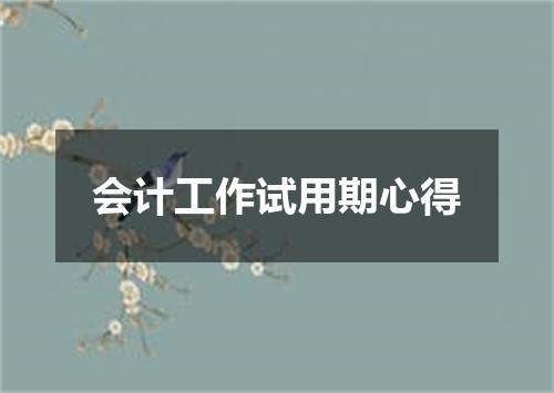 会计工作试用期心得