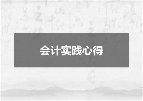 会计实践心得