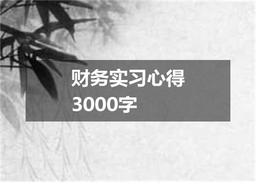 财务实习心得3000字