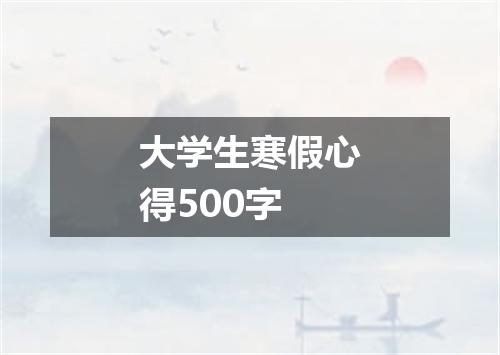 大学生寒假心得500字