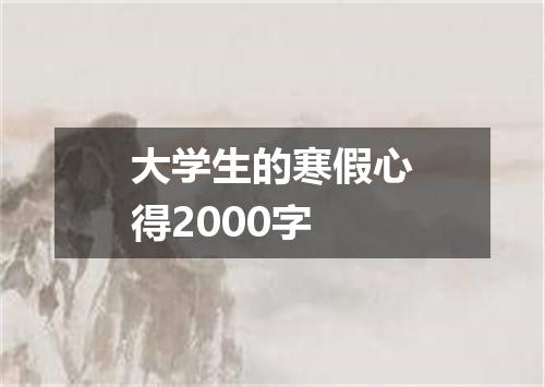 大学生的寒假心得2000字