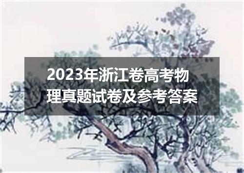 2023年浙江卷高考物理真题试卷及参考答案