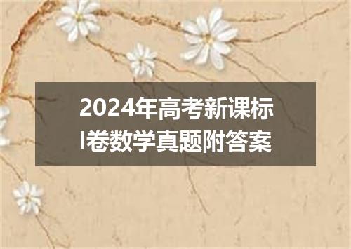 2024年高考新课标I卷数学真题附答案