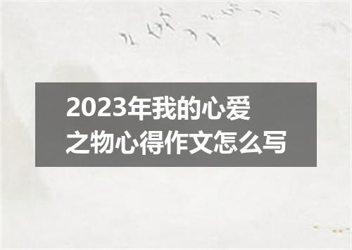 2023年我的心爱之物心得作文怎么写