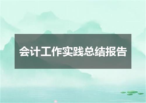 会计工作实践总结报告