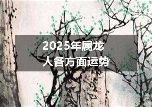 2025年属龙人各方面运势