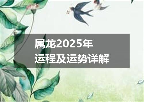 属龙2025年运程及运势详解