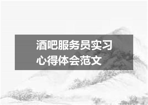 酒吧服务员实习心得体会范文
