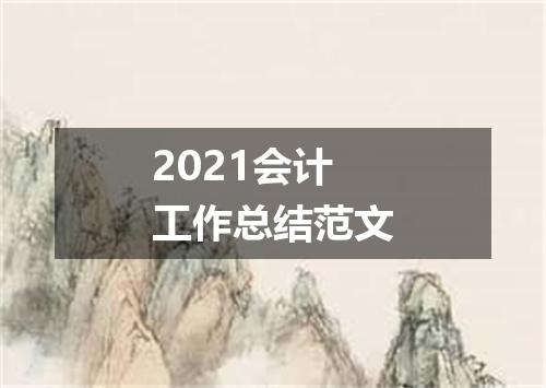2021会计工作总结范文