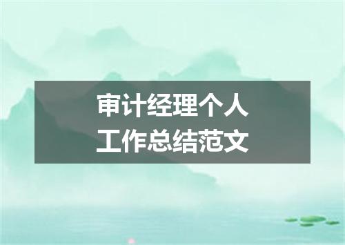 审计经理个人工作总结范文