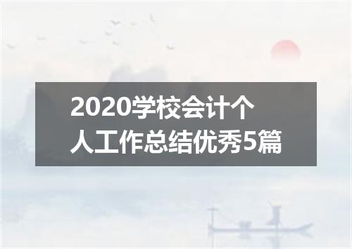2020学校会计个人工作总结优秀5篇