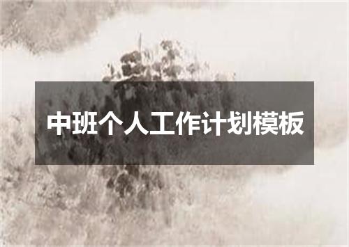 中班个人工作计划模板
