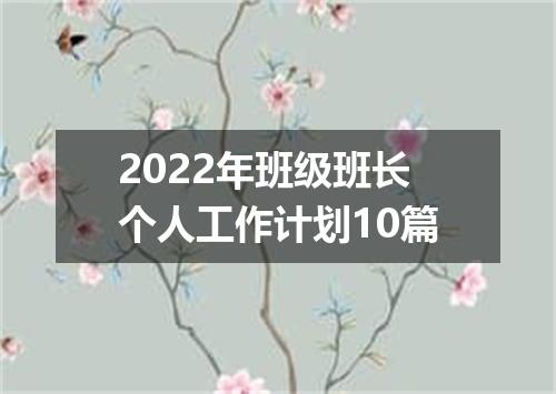 2022年班级班长个人工作计划10篇