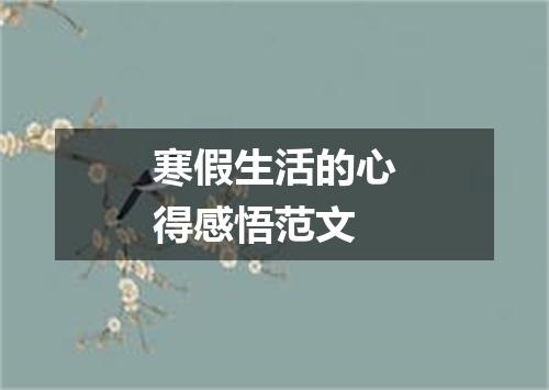 寒假生活的心得感悟范文