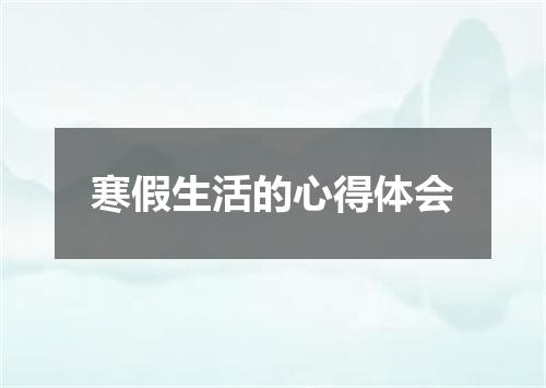 寒假生活的心得体会