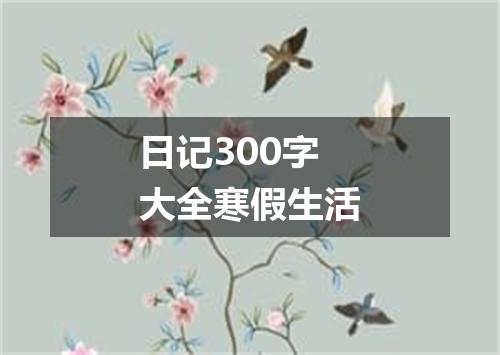 日记300字大全寒假生活
