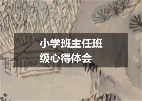 小学班主任班级心得体会