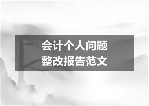会计个人问题整改报告范文