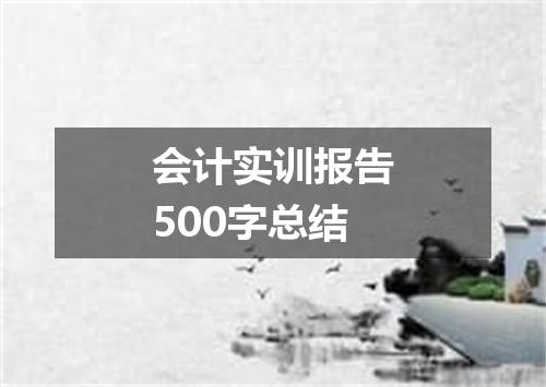 会计实训报告500字总结