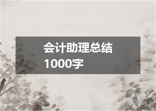 会计助理总结1000字