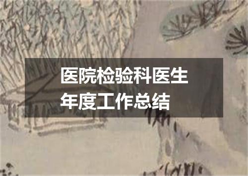 医院检验科医生年度工作总结