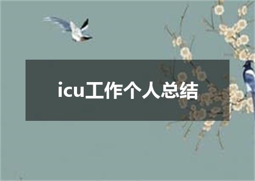 icu工作个人总结