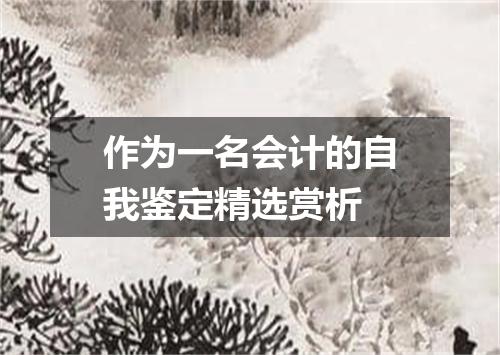 作为一名会计的自我鉴定精选赏析