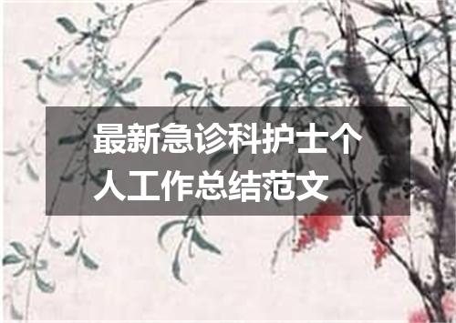 最新急诊科护士个人工作总结范文