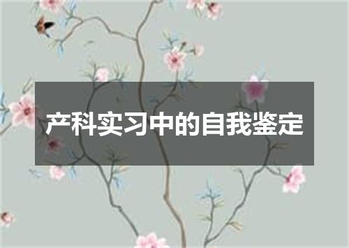 产科实习中的自我鉴定