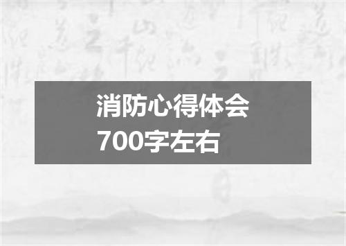 消防心得体会700字左右