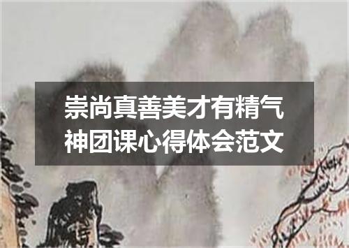 崇尚真善美才有精气神团课心得体会范文