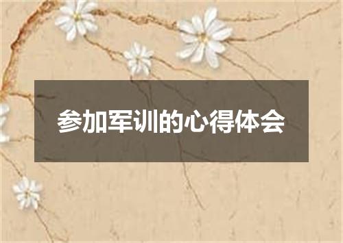 参加军训的心得体会