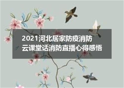 2021河北居家防疫消防云课堂话消防直播心得感悟