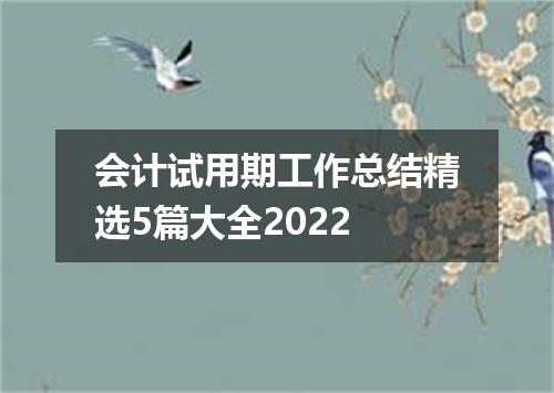 会计试用期工作总结精选5篇大全2022